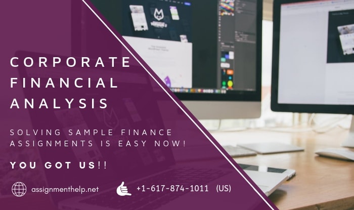 Assignment Help Corporate Financial Analysis