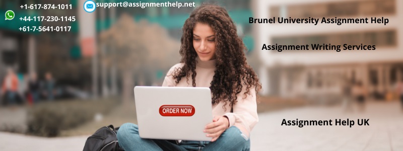 Brunel University Assignment Help