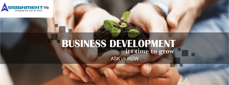 business development Assignment Help