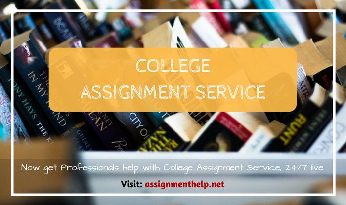 College Assignment Service