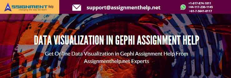 Gephi Assignment Help 2