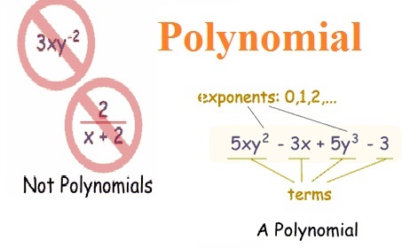 Polynomials Assignment Help