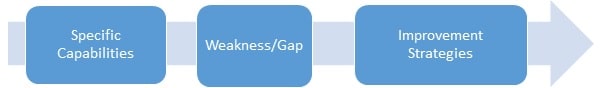Professional Capability Gap Analysis img3