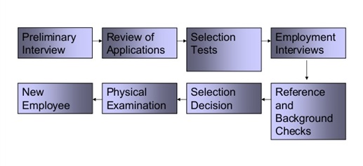 Figure 2. Selection Process Model