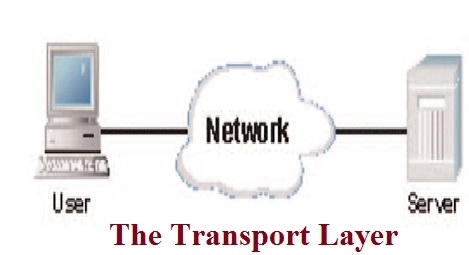 Transport Layer Assignment