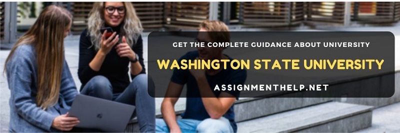 Washington State University Assignment Help