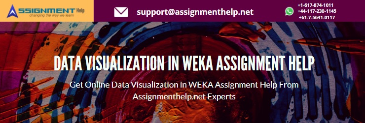 WEKA Assignment Help