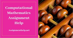 Assignment Help