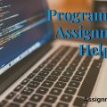 programming assignment help