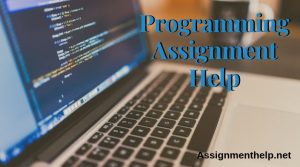 Assignment Help