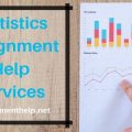 statistics assignment help service