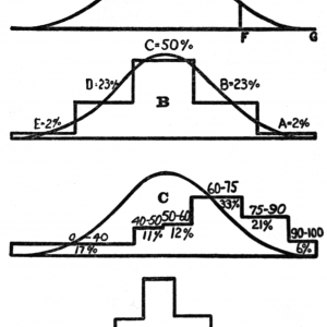 Statistics Homework help Statistics Project help