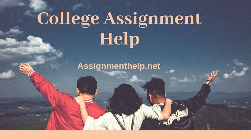 college assignment help