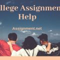 college assignment help