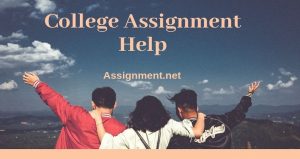 Assignment Help