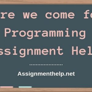 Assignment Help
