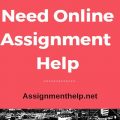 need online assignment help