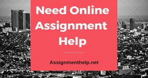 Assignment Help