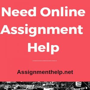 Assignment Help