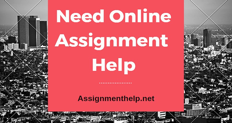 need online assignment help