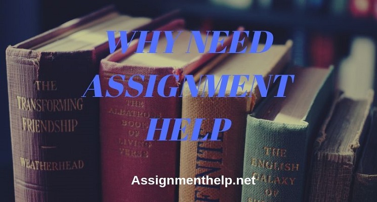 why need assignment help