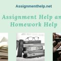 assignment help and homework help