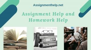 Assignment Help