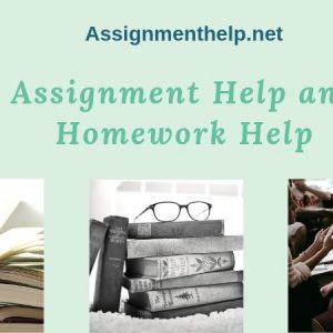 Assignment Help