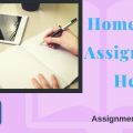 homework assignment help