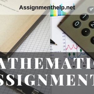 Assignment Help