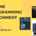 online programming assignment help