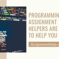 programming assignment helpers are ready to help you