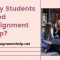 why students need assignment help