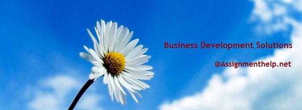 Business development