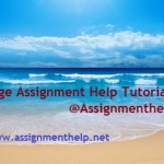 Assignment Help