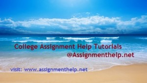 Assignment Help