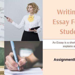 writing an essay for the students