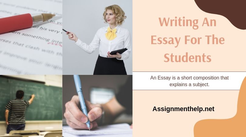 writing an essay for the students