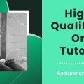 highest quality of online tutoring