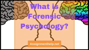 Assignment Help