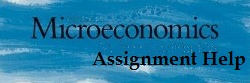 Microeconomics Assignment Help