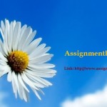 Assignment Help