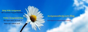 Assignment Help