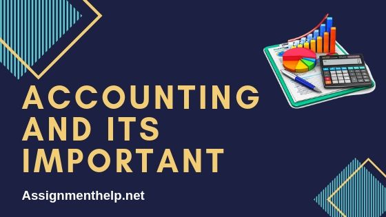 accounting and its important