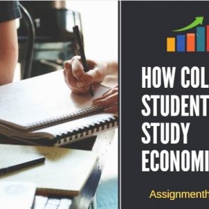Assignment Help
