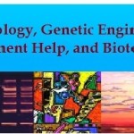 Biotechnology assignment help