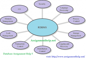 Assignment Help