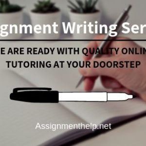 assignment writing service