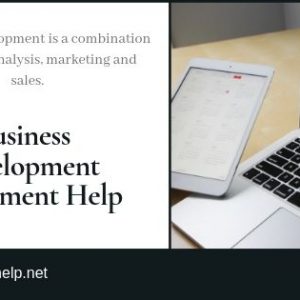 business development assignment help