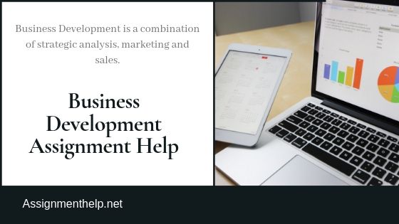 business development assignment help